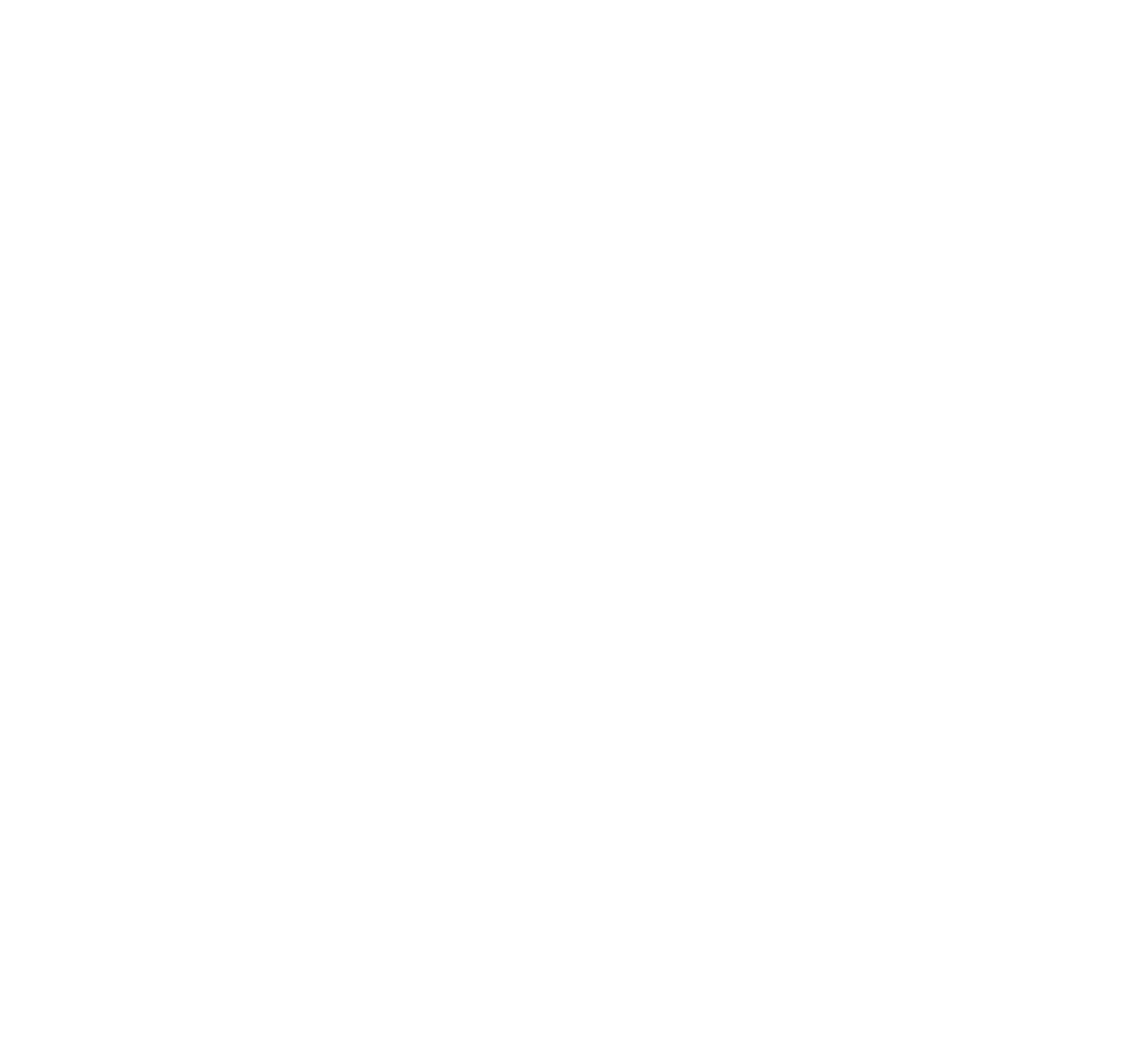 Seidler Ringwald Architekten